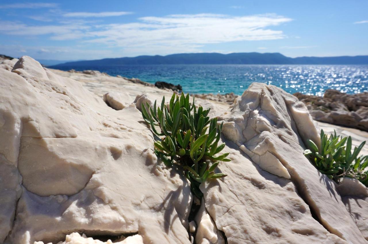 Apartment Suzie Q - Intermezzo With Sea View Rabac Luaran gambar