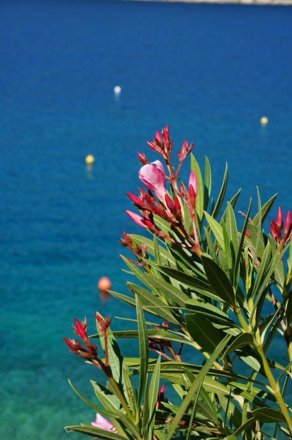 Apartment Suzie Q - Intermezzo With Sea View Rabac Luaran gambar